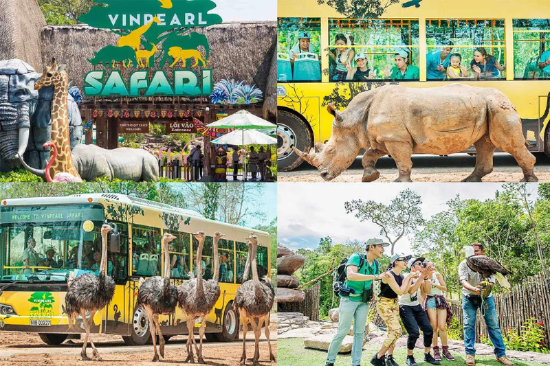 Experience the wild nature at Phu Quoc Safari